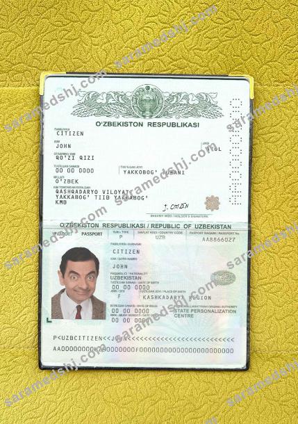 Uzbekistan pass photo look